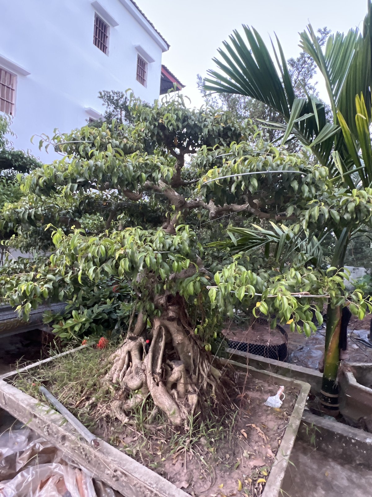 Cập nhật lần đầu