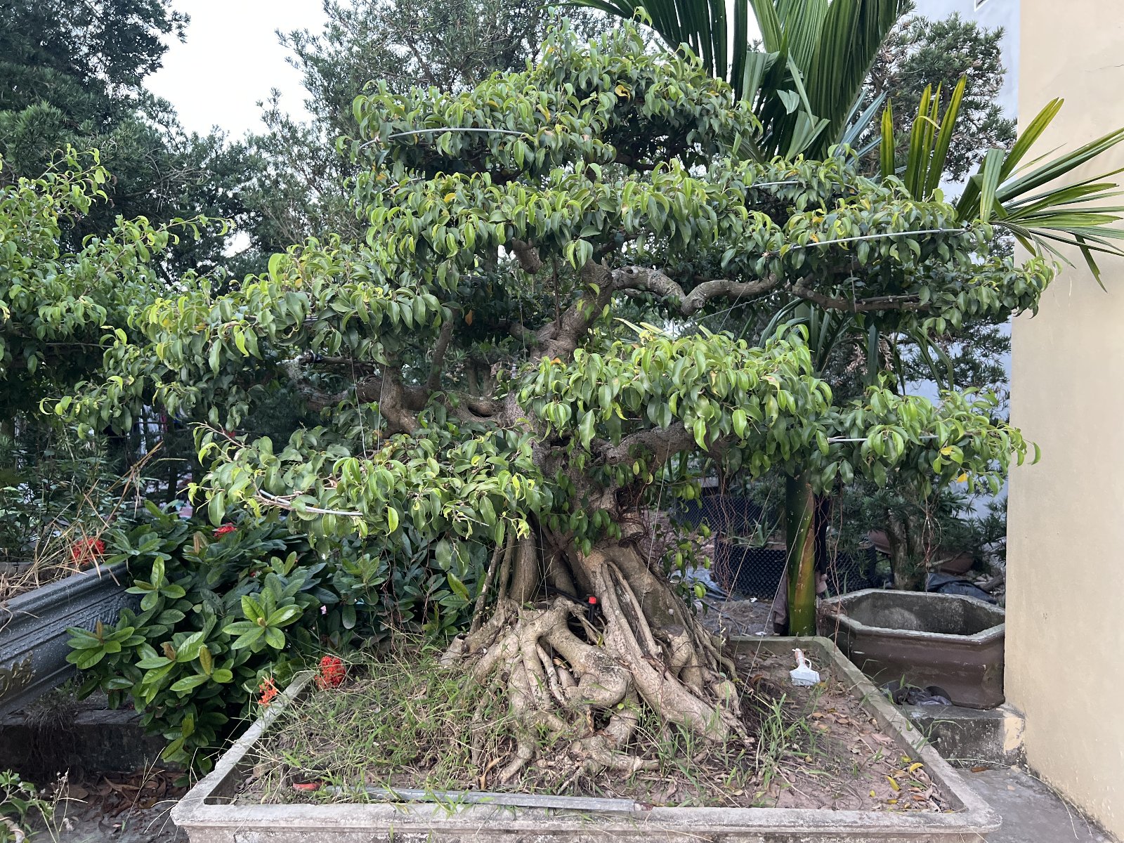 Cập nhật lần đầu · 25/10/2026
